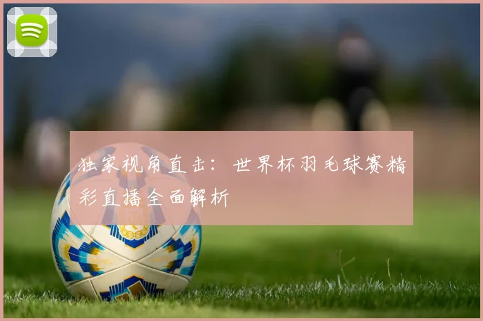 独家视角直击：世界杯羽毛球赛精彩直播全面解析