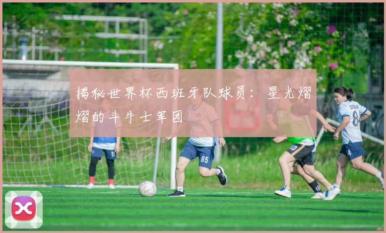 揭秘世界杯西班牙队球员：星光熠熠的斗牛士军团