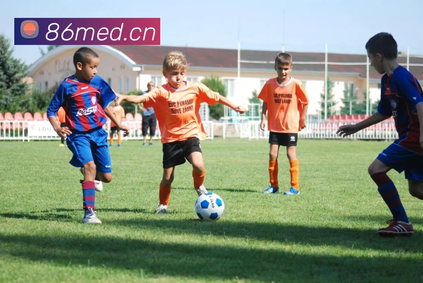 世界杯注册官网平台生态图